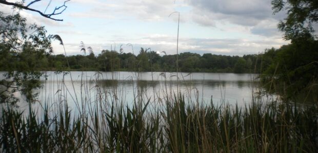 Karviná – Olšinské rybníky v Karviné – Starém Městě na pravém břehu řeky Olše se skládají z jedenácti rybníků rozdělených železniční tratí. Olšinské rybníky se nacházejí na souřadnicích 18° 30′ […]
